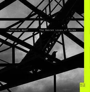 The secret lives of birds